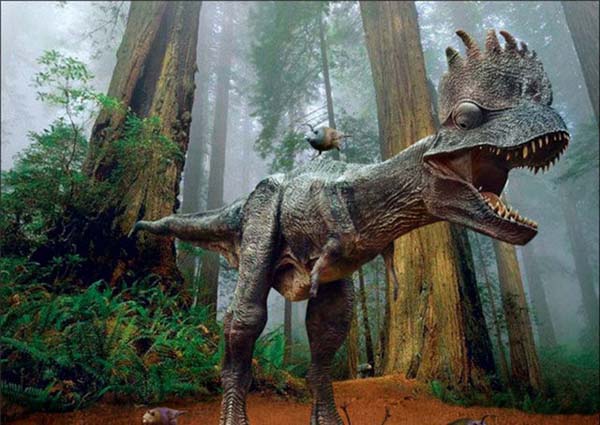 Birazck photoshop'la srad hayvanlar oluturmak mmkn... te Photoshop icad hayvanlar...