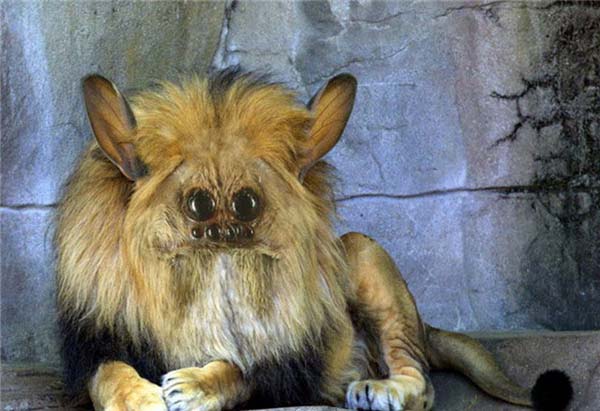 Birazck photoshop'la srad hayvanlar oluturmak mmkn... te Photoshop icad hayvanlar...