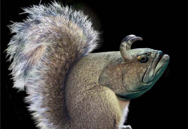 Birazck photoshop'la srad hayvanlar oluturmak mmkn... te Photoshop icad hayvanlar...