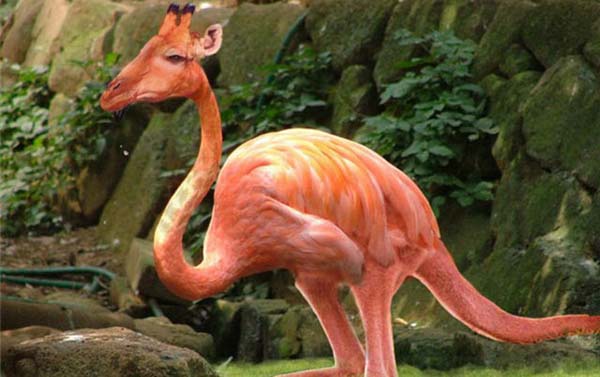 Birazck photoshop'la srad hayvanlar oluturmak mmkn... te Photoshop icad hayvanlar...