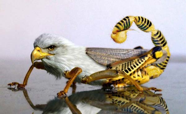 Birazck photoshop'la srad hayvanlar oluturmak mmkn... te Photoshop icad hayvanlar...