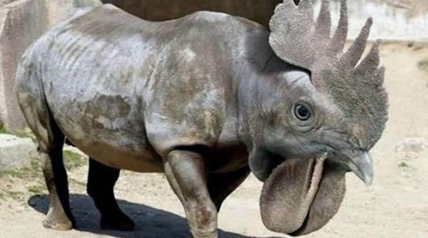 Birazck photoshop'la srad hayvanlar oluturmak mmkn... te Photoshop icad hayvanlar...