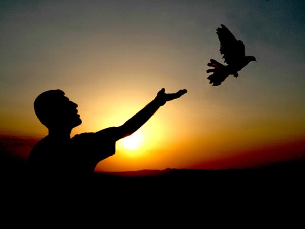 5) Bu gecede Peygamberimize efaat yetkisinin tamam verilmitir. Bu yetkinin te biri aban'n onnc gn, te biri aban'n ondrdnc gn, geri kalan te biri de aban'n onbeinci gn verilmitir.