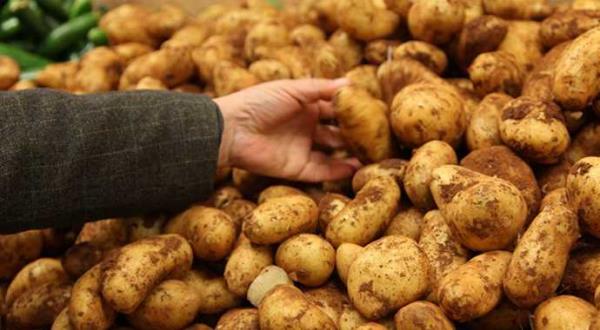 Manganez ierii yksektir. Bu nedenle cilt sal iin nemlidir ve cildi gzelletirir.