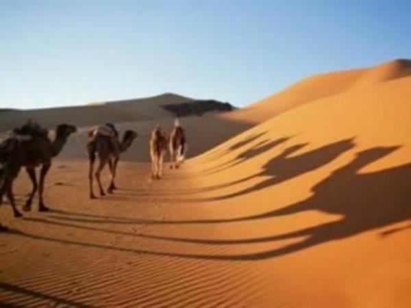 <br><b>77. Nelerdir </b></br>  tikatta mezhep, amelde mezhep.