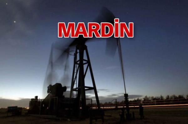 Enerji Bakan Taner Yldz, haritada belirlenen blgeler ile petrol tespit edilen yerlerin artc derecede ayn olduunu aklamt.