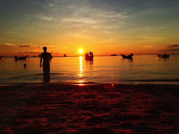 <br><b>Edward Adams, Pebworth, Birleik Krallk.</b></br>  Gnbatm kategorisi 3.'lk dl