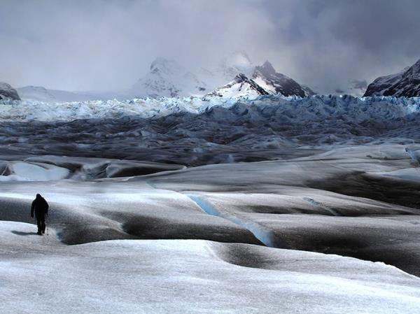 <br><b>Julio Lucas, Florida, ABD</b></br>  2014 Yln Fotoraf 1.'lik dl    <p>Kaynak: mymodernmet.com</p>
