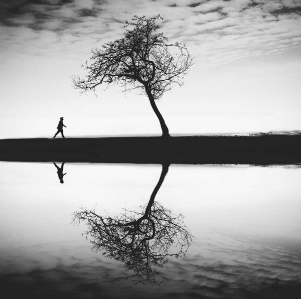 <br><b>Cocu Liu, Chicago, ABD.</b></br>  Aa kategorisi 2.'lik dl