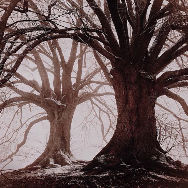 <br><b>Mariko Klug, Erding, Almanya.</b></br>  Aa kategorisi 3.'lk dl