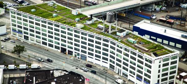 <br>Brooklyn Grange</br>  Dnyann en byk teras iftlii