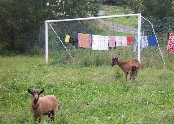 spanya savunma hatt (Temsili)