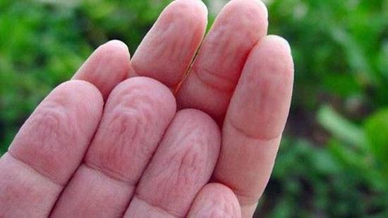 Smulders ve ekibi, gnlllerden nce elleri kuru olarak farkl boyutlardaki misketleri tutmalarn istedi.