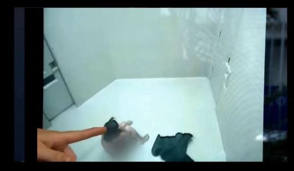 Hcreden zerindeki rt ile karlan kadnn koridorda dier tutuklularn arasndan bu ekilde geirildiini, rtnn plak braklan kadnn vcudunu tam kapatmad iin bunun son derece kk drc olduunu belirten Landwich, mvekkilinin tutulduu kouun hijyenik olmayan durumunun da altn iziyor.