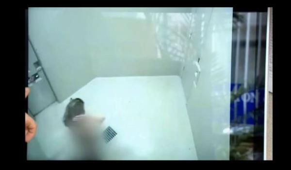 Kyafetlerini geri istedii iin kapya vuran kadn, hcrenin kapsndaki kk pencereden ieri biber gaz sklarak uzaklatrlyor.