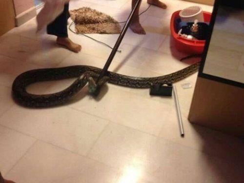 nternette yaynlanan fotoraflar haknda detayl bir bilgi verilmedi.