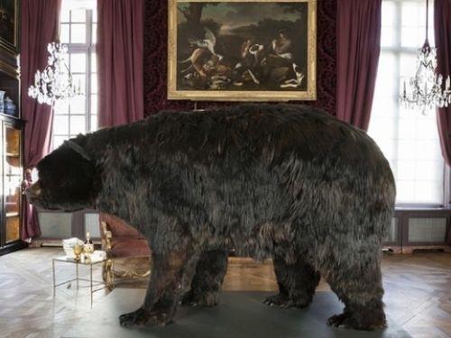 Abraham Poincheval iki hafta boyunca bir aynn iinde yaad.