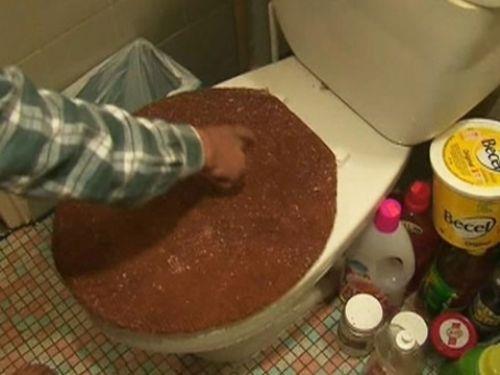 Klozetten piton karsa ne olur?