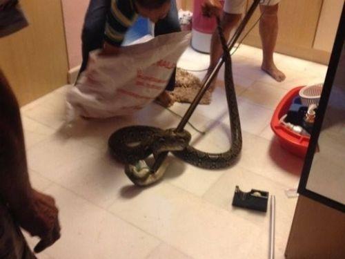 Ancak fotoraflarn ne kadar korkutucu olduu bir gerek..