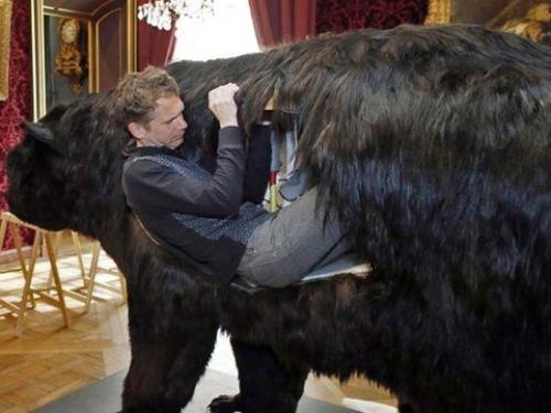 1 Nisan 2014 gn balad yaamaya ve tam 13 gn boyunca hi kmadan burada yaad.