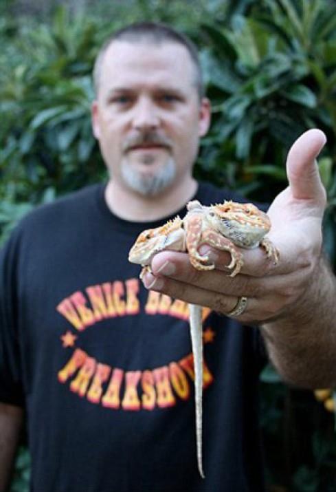 ABD'de yaayan Todd Ray'in benzerine az rastlanr bir koleksiyonu var. Ray, iki kafal hayvanlar topluyor. Ray?in 157 bin dolara mal olan koleksiyonunda u an 22 (kafalar ayr ayr sayarsanz 44) adet canl hayvan var. Bunun yan sra Ray doldurulmu ve kurutulmu birok iki kafal hayvana da sahip.