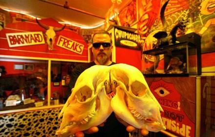 Ancak yemek konusunda btn ii Jeckyl yapyor: "Hyde sadece su iiyor. Yalnz bir kez crcr bcei yediini grdm o kadar." Pancho ve Lefty iin ise durum bambaka. kisi de yemek yiyorlar. Ama Pancho bcek yerken, Lefty vejetaryen. Sadece yeil bitkilerle besleniyor.