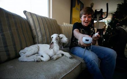 Bir tuhaf koleksiyoncu