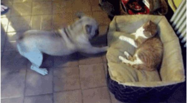 16. 'Hey dostum, buras benim yatam'