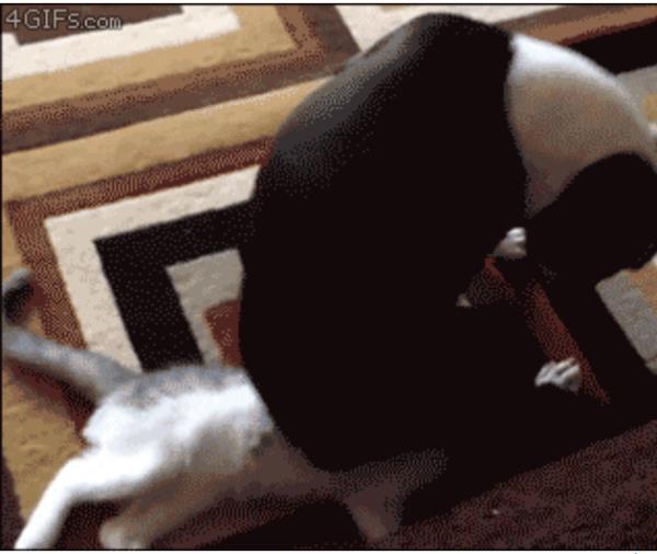 17. 'Zaman deiiyor dostum, olacaklardan sorumlu deilim'