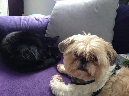 14. 'Hayrdr birine mi baktn'