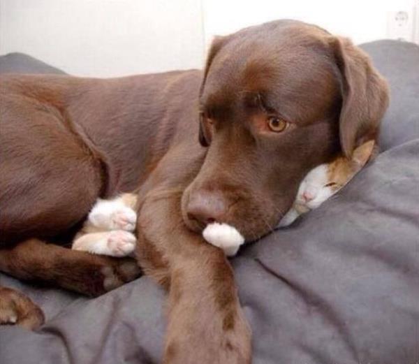 12. 'Galiba bir eyin stne yattm... Hissediyorum'