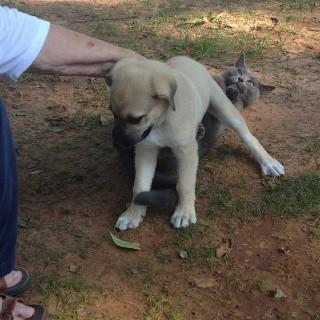 5. Abi valla birey yapmyorum