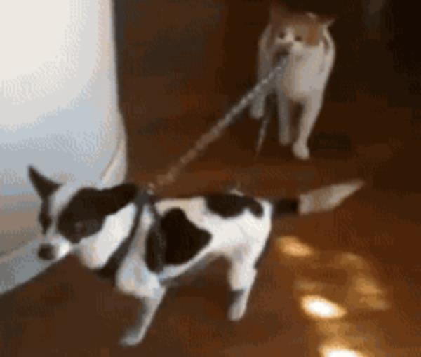 19. 'Allah akna, birisi bana yardm etsin'