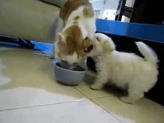 8. Dur, dur... urada da toz kalm