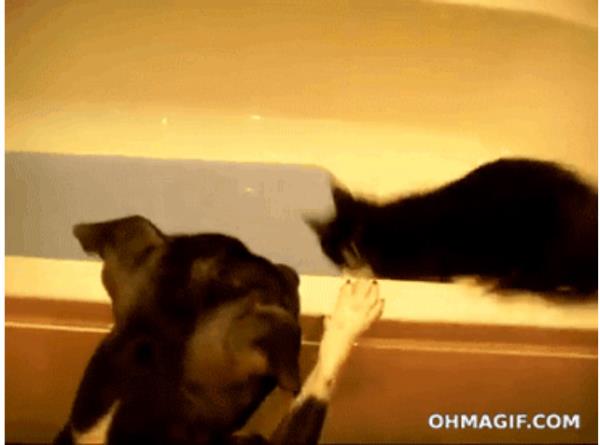 11. 'Hay aksi, orada olduunu grmedim'