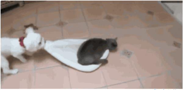 10. 'Bu senin deil ka kere diyeceim'