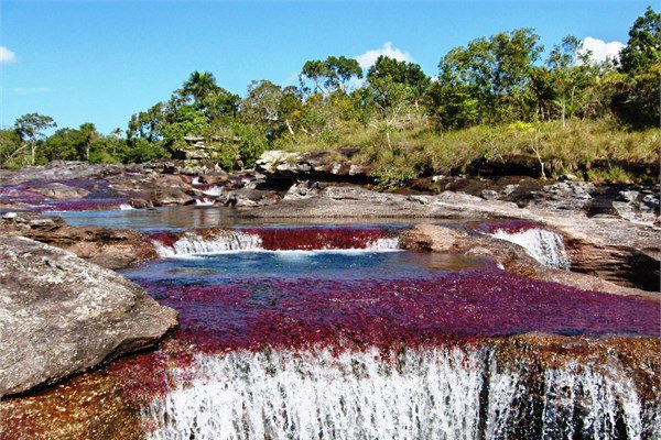 <br><b>Cano Cristales</b></br>  Villa Vicencio, Kolombiya