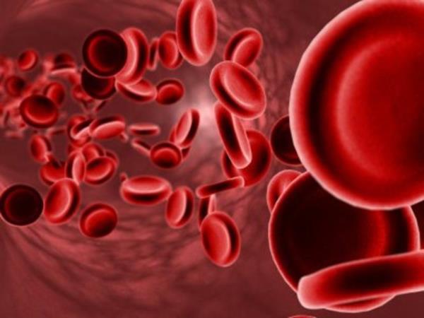 <b>Kanszlkla m savayorsunuz?</b>