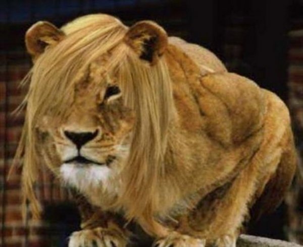 "Dnyaya kadnlar hkmetseydi ne olurdu?" sorusuna yant aradk... Ortaya elenceli kareler kt..