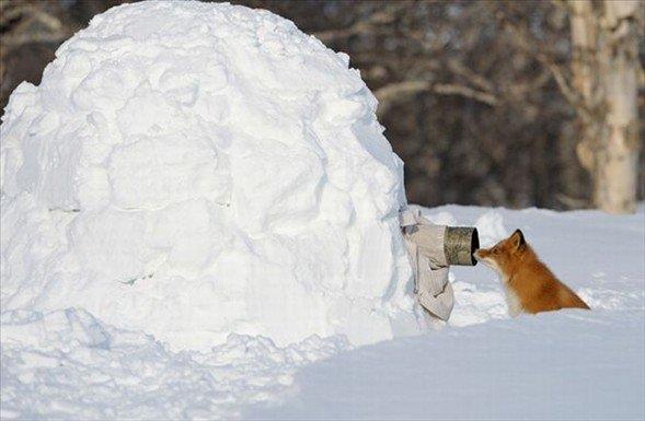 Belgesel izlerken hep merak ederiz bu sahneler acaba nasl ekiliyor diye. te belgesellerin nasl ekildiini anlatan kareler...
