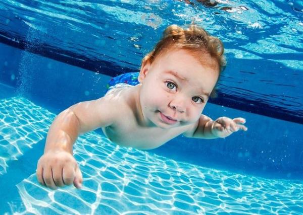 Snfn almalar fotoraf NY Times fotorafs Seth Casteel tarafndan tek tek fotoraflanyor.