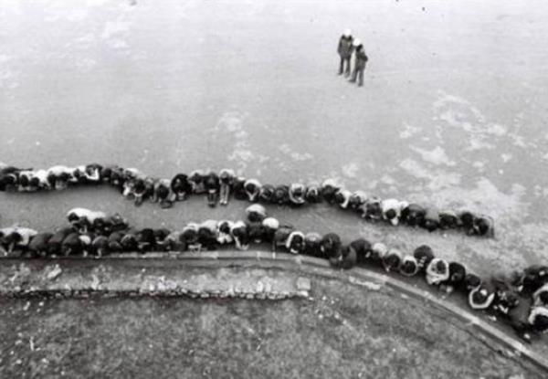 16 kii -kaarken- vuruldu.