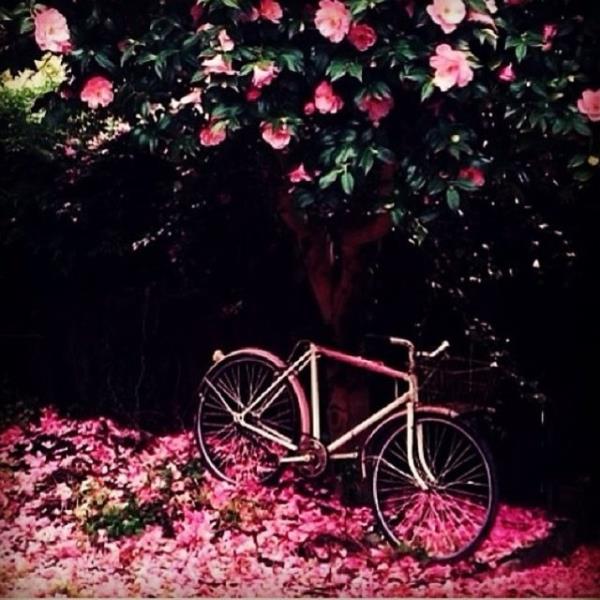 HELN AVAR  <br>pembe bir gn gne asada iimiz alsa</br>