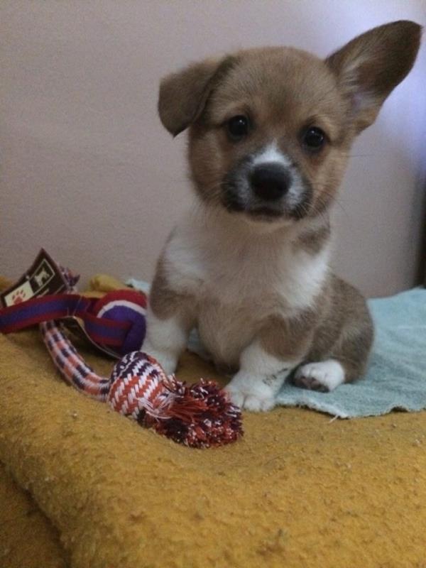 Bazen de sol kulaklarn...