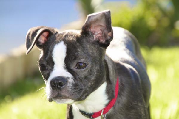 Gerekten de sevimli olmadklar bir an dahi yok