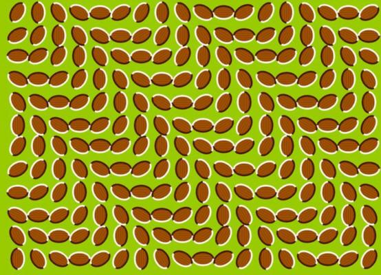 Hareket ediyor gibi gryorsunuz deil mi? Emin olun hibir ey hareket etmiyor. Sadece gznz sizi aldatyor.