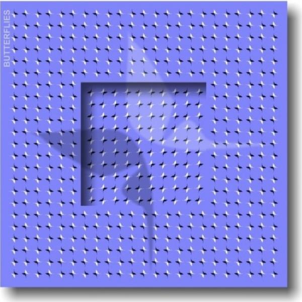 Fotoraf aslnda hareketli deil. Ortadaki kelebei farkettiinizde hareket ediyormu gibi hissediyorsunuz. te bu da bir alg...