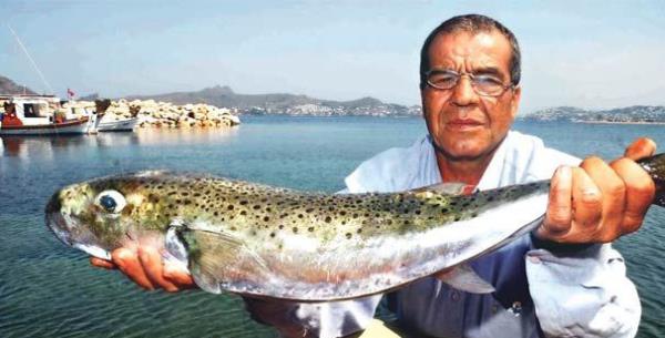 L. sceleratus'un bilinen tek faydal zelliinin ise ierdii toksinin bir ka yldr farmakolojik alanda kullanlmas olduunu bildiren Yrd. Do. Dr. nci Tney yle devam etti: