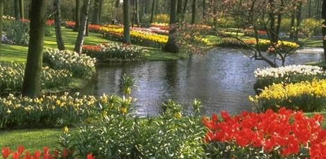 Her derdin devas doada var. Romatizmadan astma, cilt gzelliinden ba arsna kadar... te bu 30 bitkilerle gzellein ve salnza kavuun...