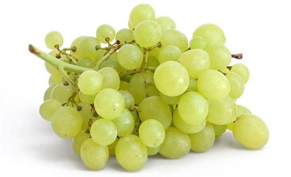 Zararl hcrelerin tutulmasna yardmc olur.